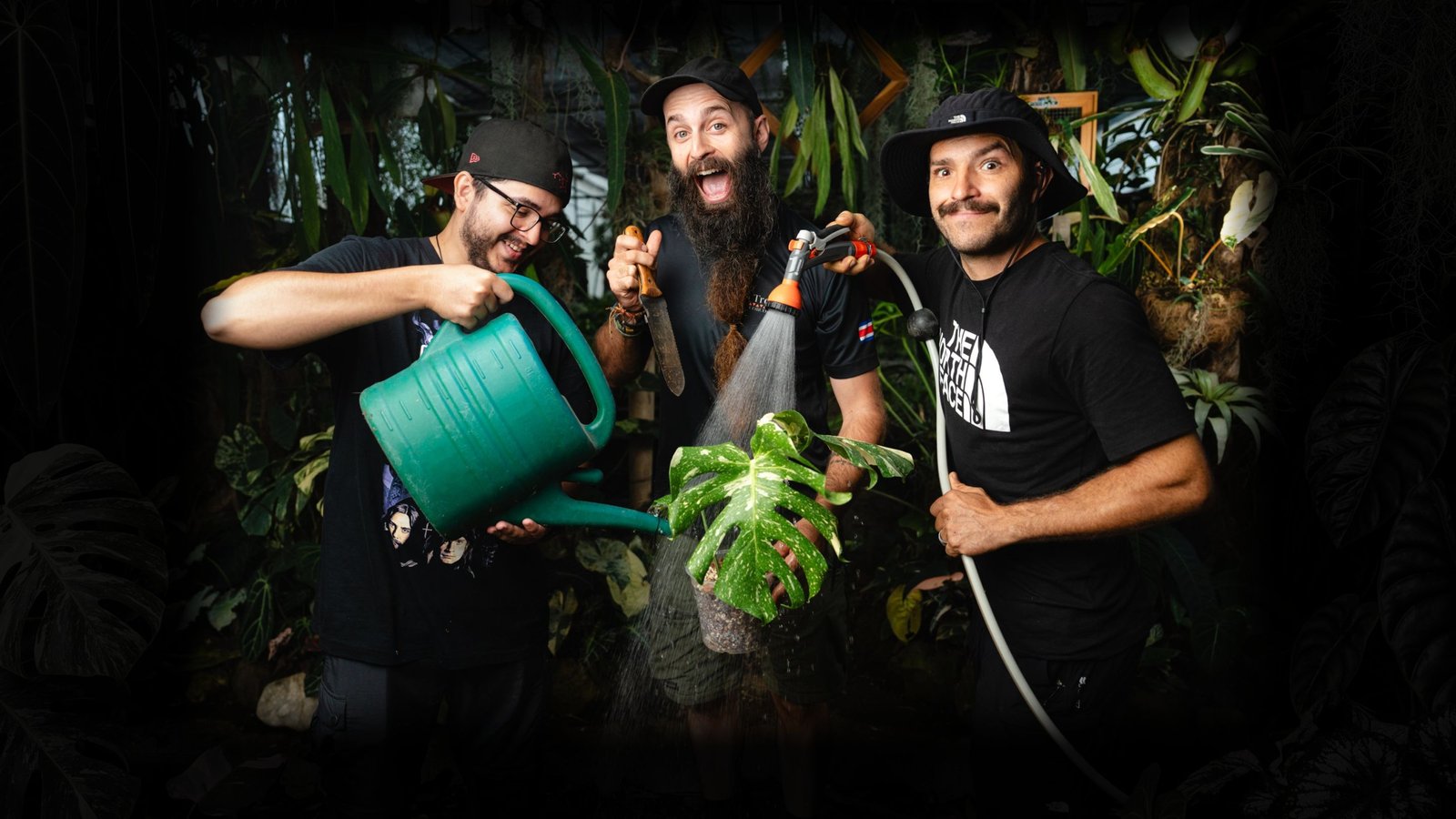 Los tres presentadores, vestidos de negro, regando una Monstera variegada dentro del vivero